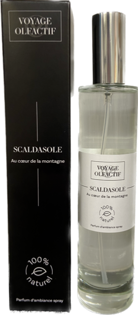 SCALDASOLE SPRAY 100 ML