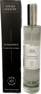 SCALDASOLE SPRAY 100 ML