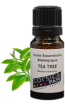 HUILE ESSENTIELLE BIO DE TEA TREE 10 ML