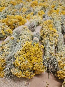 Bouquet d'immortelle